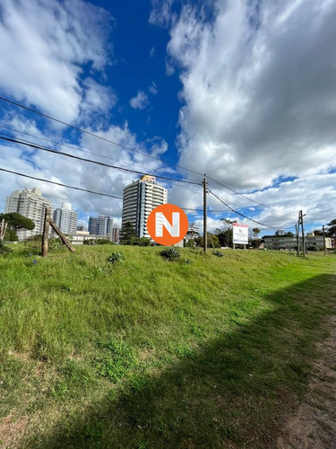 Imagen 7 de 8 de Impresionante Terreno De 4857m2 Para La Venta - Punta Del Este Brava