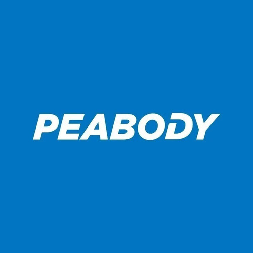 Ventilador Pie 20 Peabody Pe-vp250 Paletas Metálicas 130w