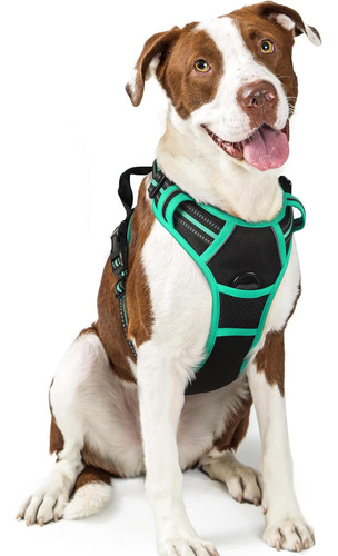 Arnés Para Perro Rabbitgoo, Ajustable, Sin Ahogo, Modelo L