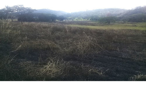 Imagen 10 de 14 de (+58 4144713559 Angela Giron) En Venta Finca En Bejuma, Carabobo. 58ha, 6hab, 2bañ, 6pe. .belgi.