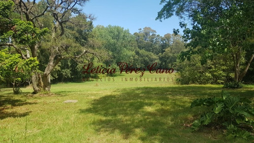 Venta De Chacra En Maldonado, Punta Ballena 5 Has - Ref: 19265