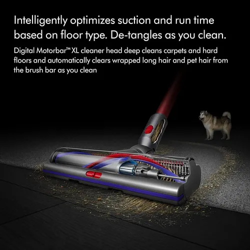 Dyson Outsize+ Aspirador Inalámbrico