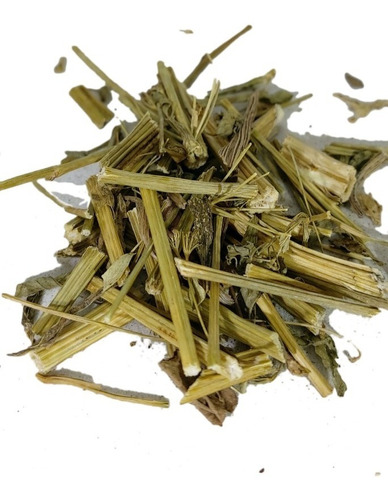 Hierba Medicinal Apio Panul, Infusión, Te.