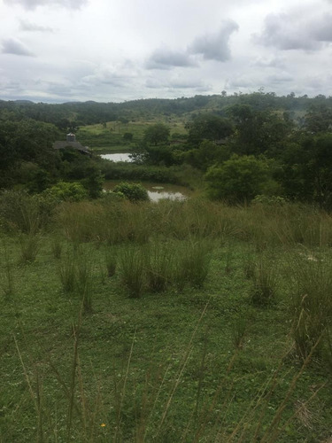 Imagem 19 de 20 de Qualidade De Vida Pra Você, Ótima Granja 06 Hec, Lazer Em Bonança, Aceito Imóvel/carro - Ch00022 - 68991934