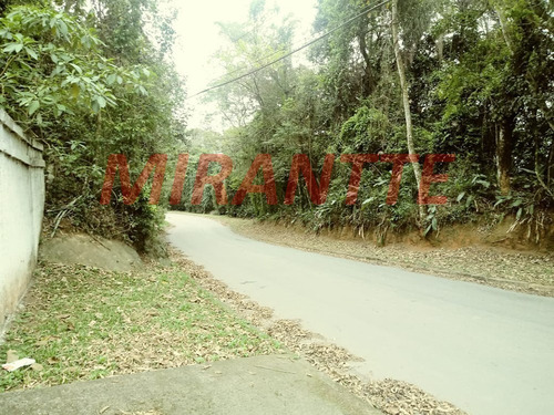 Imagem 3 de 8 de Terreno Em Serra Da Cantareira - São Paulo, Sp - 328727