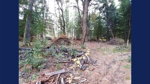 Imagen 6 de 26 de Venta Lote/terreno De 4955.50 M2 Cauquen 100 Altos De Manzano Villa La Angostura
