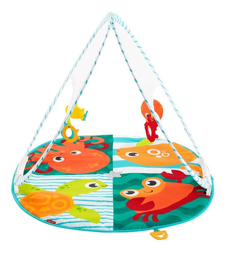 Gimnasio Portátil Para Bebe Fisher Price, Fxc15