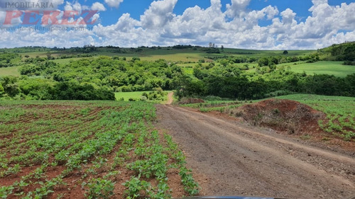 Chácaras_sítios_fazendas Para Venda - 13650.7652