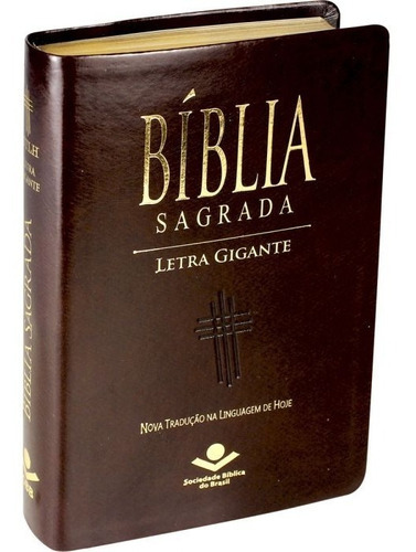 Bíblia Sagrada Letra Gigante Luxo Ntlh - Linguagem De Hoje