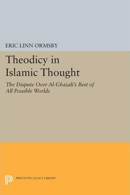 Libro Theodicy In Islamic Thought - Eric Linn Ormsby