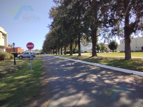 Casa En Venta En Altos De Campo Grande