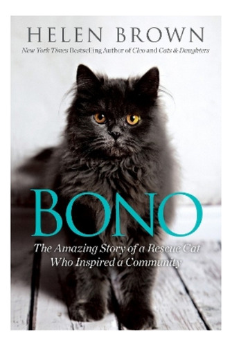 Bono - The Amazing Story Of A Rescue Cat Who Inspired . Eb01