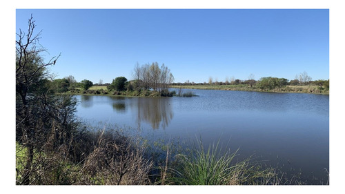 Imagen 22 de 27 de Casa Conteiner A Estrenar De 3 Ambientes Sobre Lote De 3.110 M2 Con 69 Mts De Costa Al Lago