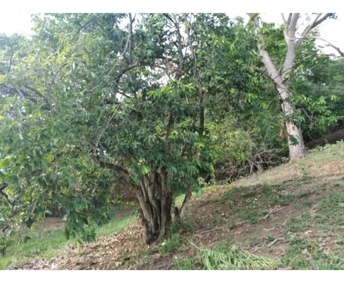 L-158 Lote Independiente (sector Via Sopetran - Sta Fe De Ant)