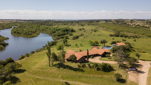 Imagen 3 de 10 de Campo - José Ignacio