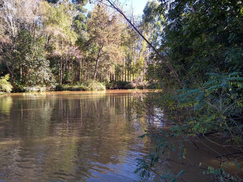 Imagen 1 de 19 de Quinta - Las Cañas