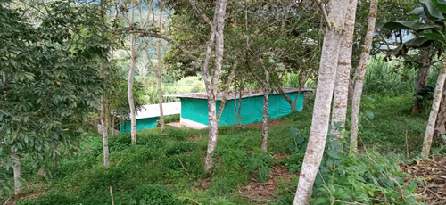 Imagen 14 de 22 de Vendo Finca Bitaco