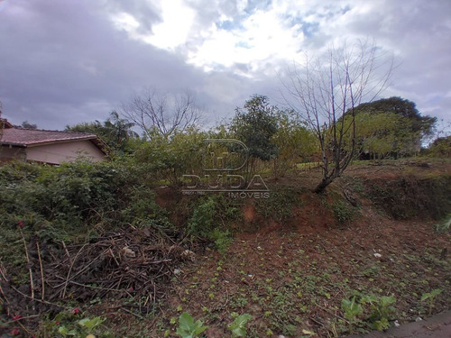 Imagem 4 de 5 de Terreno - Lote Seis - Ref: 34173 - V-34170