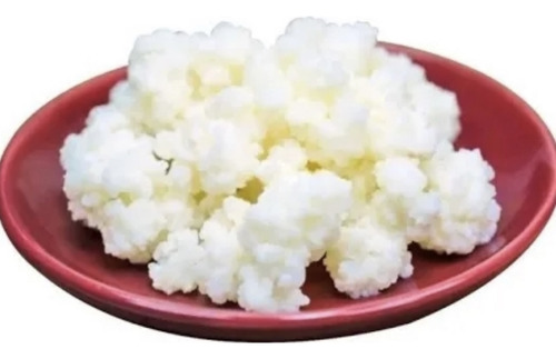 Búlgaros De Leche Kefir 100 Gramos