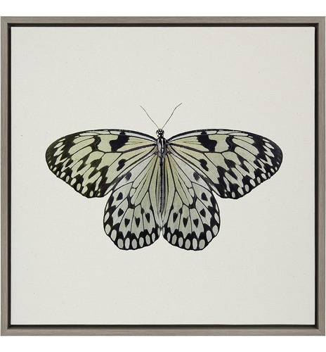 Kate Y Laurel Sylvie Two Tone Butterfly Framed Linen Texture