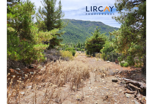 Lote Media Hectárea En Medio De La Precordillera Maulina!