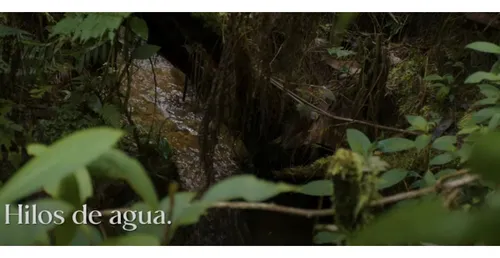 Venta De Lote Vía Don Diego La Ceja