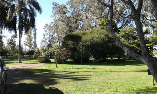 Imagen 18 de 20 de Casa Quinta - Única - En Gualeguay