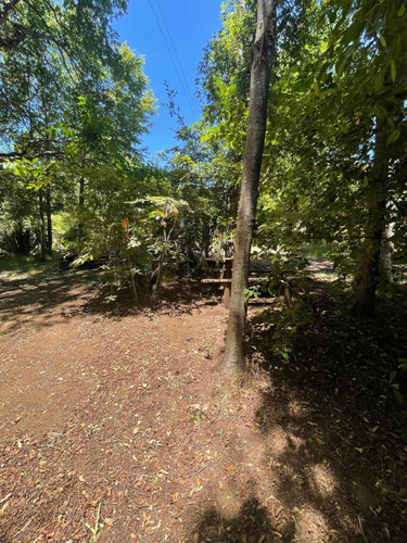 Venta De Propiedad En Camino A Las Termas De Chillán