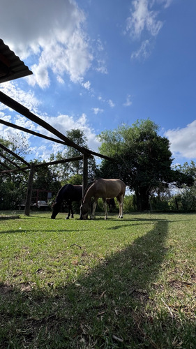 Vende Casa De Campo Con 3 Hectareas