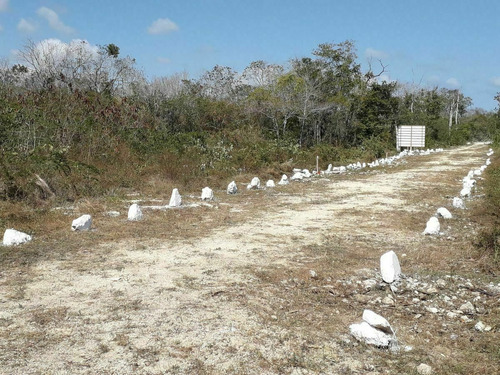 Imagen 7 de 9 de Terreno En Venta De 1,600 M2, Región 11 Mza 875