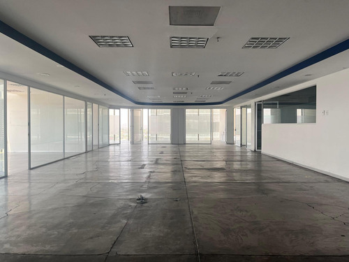 Oficina En Renta - Paseo De La Reforma - 584.4m2 - Piso 6