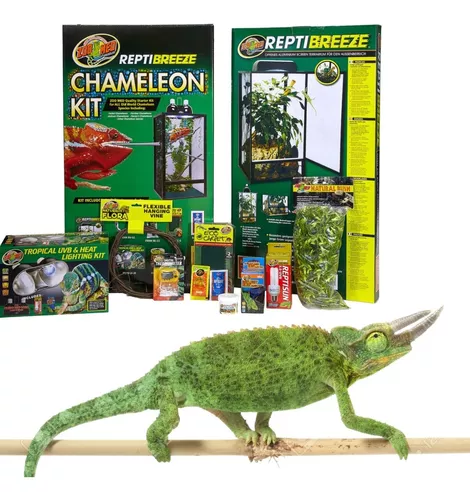 Presentador garaje Tecnología Kit Camaleon Zoo Med | MercadoLibre 📦