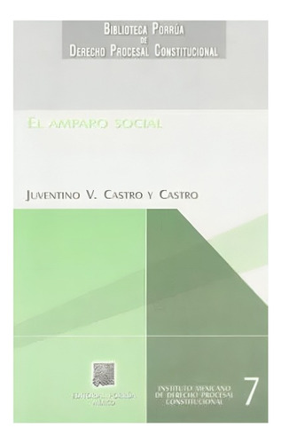 Libro El Amparo Social Juventino V Castro Y Castro