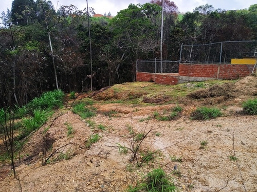 Imagen 5 de 14 de Venta De Dos Parcelas De Terreno Urb. Los Leones Llano Alto Carrizal