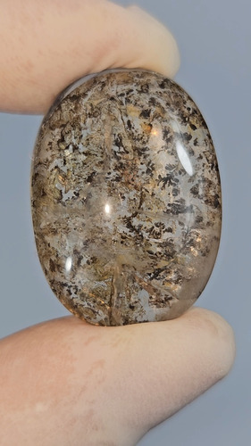 Pedra Dendrita Natural Cristal Quartzo Precioso Raro 43,48ct