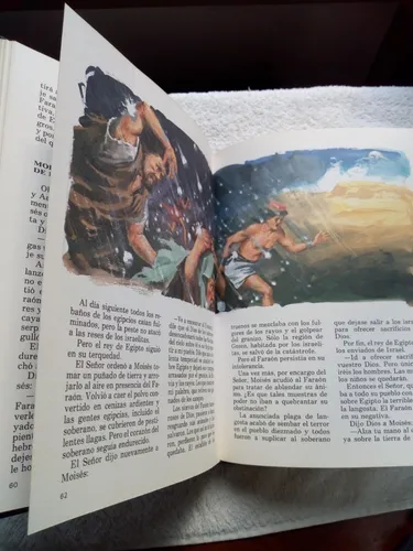La Biblia Para Jovenes - Antiguo / Nuevo Testamento- T. Dura (Usado)