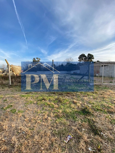 Loteo En Venta, Tapalqué / Vendido