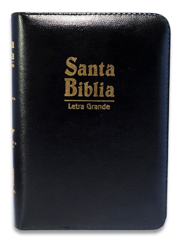 Imagen 1 de 4 de Biblia Rv1960 Letra Grande Acolchonada /cierre