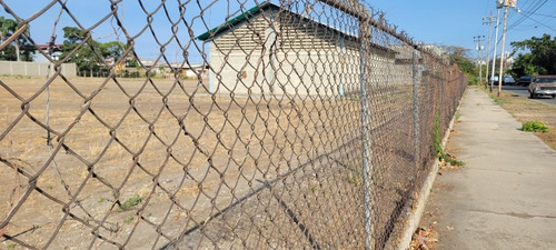 Imagen 2 de 6 de Se Alquila 17.000 M2 De Terreno Zona Industrial Barquisimeto