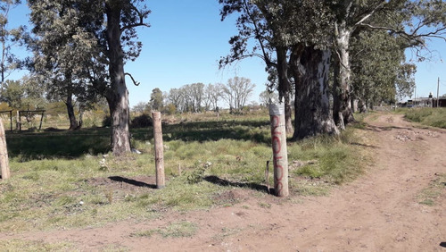 Imagen 10 de 13 de Excelente Lote 500 Mts Venta Mariano Acosta Merlo