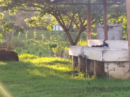Imagen 4 de 14 de Finca En Yaracuy Municipio Bruzual Cumaripa