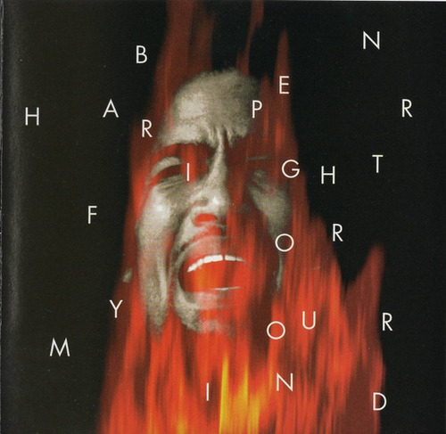 Ben Harper  Fight For Your Mind Cd Europe [usado]