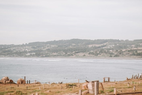 Mirador De Punta De Lobos