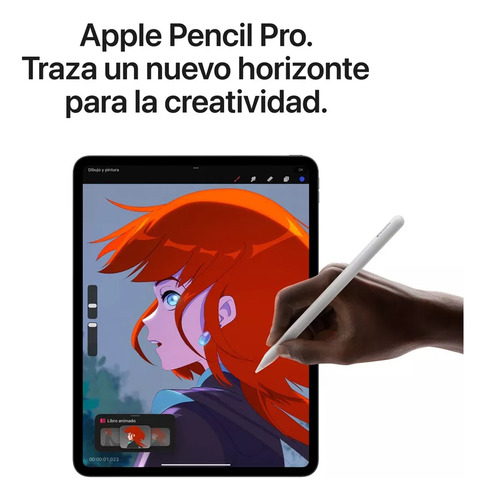 Apple iPad Pro 13'' Wi Fi + Cellular 256gb Chip M4 Mvxr3ll/a