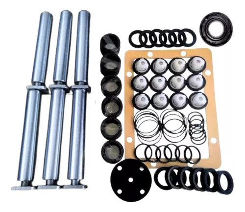 Wayne Kit Completo Para Bomba Lu-6402 C/valvula E Pistoes