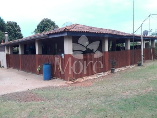 Imagem 7 de 30 de Chácara 11.000m² Em Engenheiro Coelho - Ch00014 - 33452159