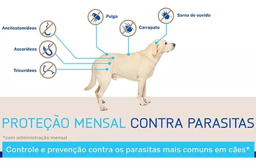 Nex Gard Spectra Para Cães De 2 A 3,5kg - 1 Tablete