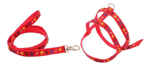 Conjunto Peitoral E Guia Osso E Pata Número 1 D&g