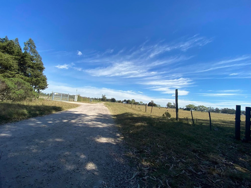 Imagen 9 de 14 de Latorre Prop. Vende Una Hectarea En La Zona De Parque Camet