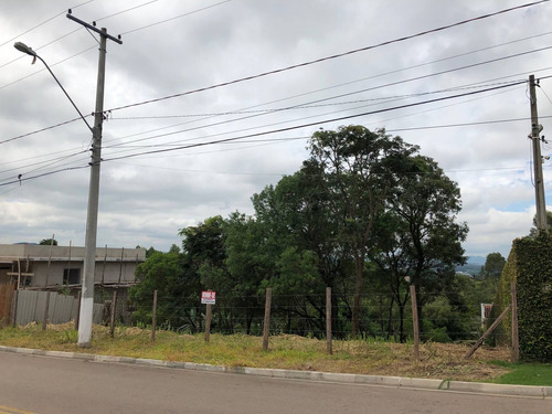 Imagem 9 de 10 de Terreno Residencial Para Venda No Colinas De San Diego, Vinhedo/sp. - Te00163 - 70016168